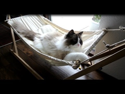Гамак для кошки видео