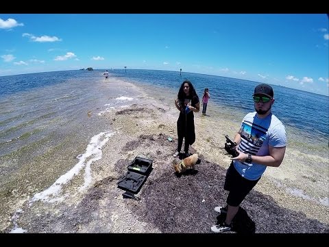 3DR Solo No Gimbal