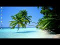 P2P IP CAMERA--EASIER SET UP.mp4
