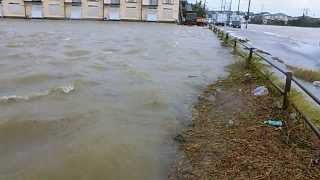 台風26号、千葉県茂原市、一宮川氾濫する。田んぼが、河の様に波打つ。