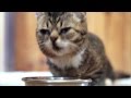 HEY BUB CHECK IT OUT: FOOD