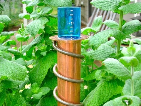 World's Coolest - Rain Gauge World's Coolest - Rain Gauge