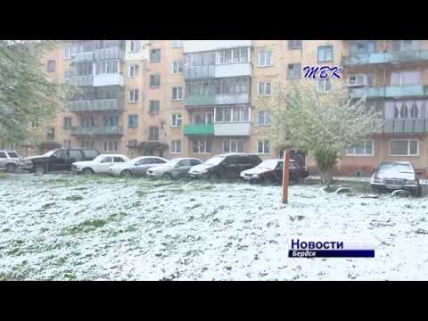 Самый снежный майский день в Бердске Самый снежный майский день в Бердске