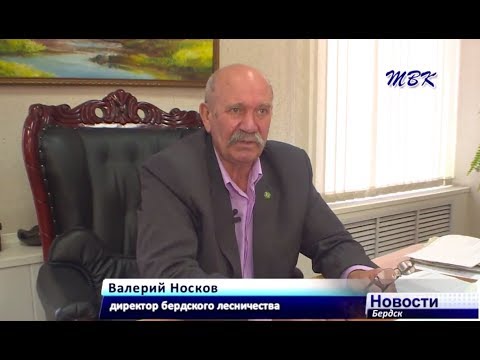 День работников лесничества – Бердскому лесхозу 70 лет