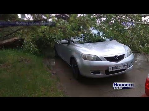 Вырванные с корнем деревья и превращённые в месиво огороды – результат прошедшего в Бердске ураганного грозового ливня
