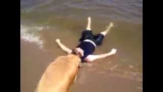 Perro rescata a niño que finge estar ahogándose