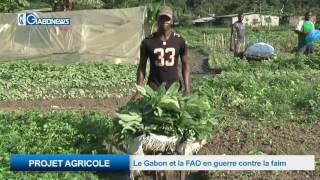 PROJET AGRICOLE: Le Gabon et la FAO en guerre contre la faim