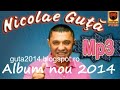 Nicolae Guta Album 2014