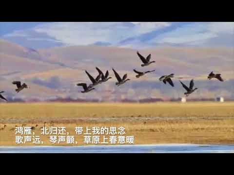 《鸿雁》翻唱一首蒙古民歌