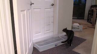 沒有人可以阻止貓自己開門，何況是區區一個水盆