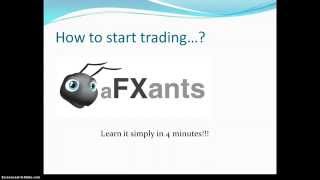 Learn how to start Forex trading for FREE !!! - www.afxants.com