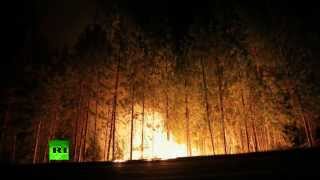 Сокровище нации в опасности: пожары в парке Йосемити в США бушуют уже десятые сутки