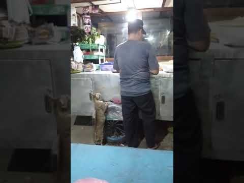 Funny Cat