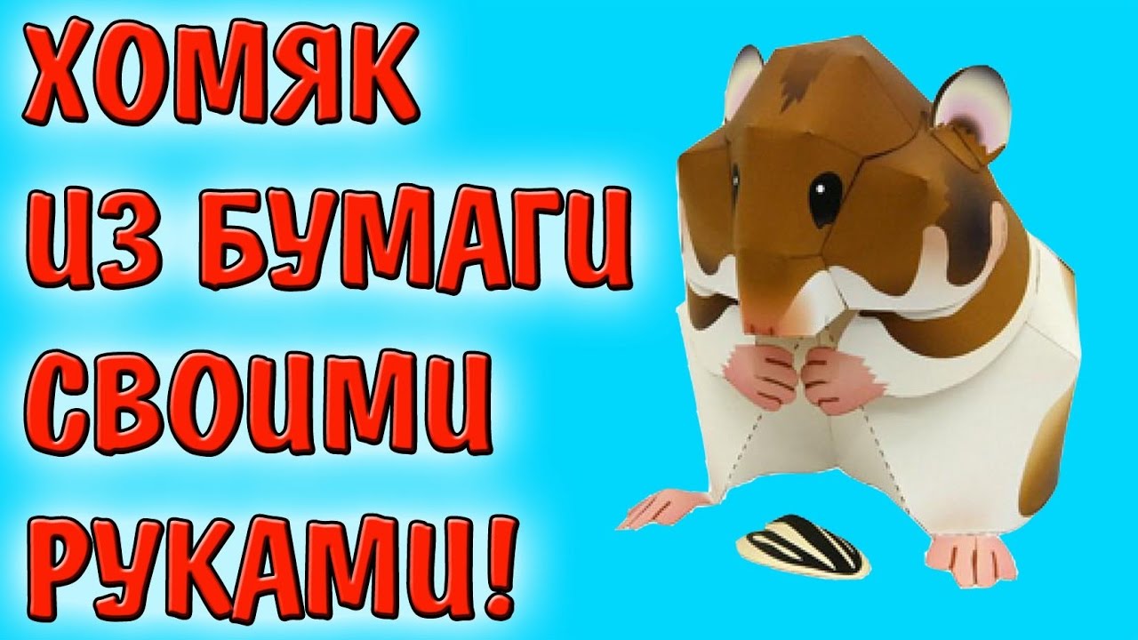 Как сделать хомяка из бумаги Как сделать хомяка из бумаги
