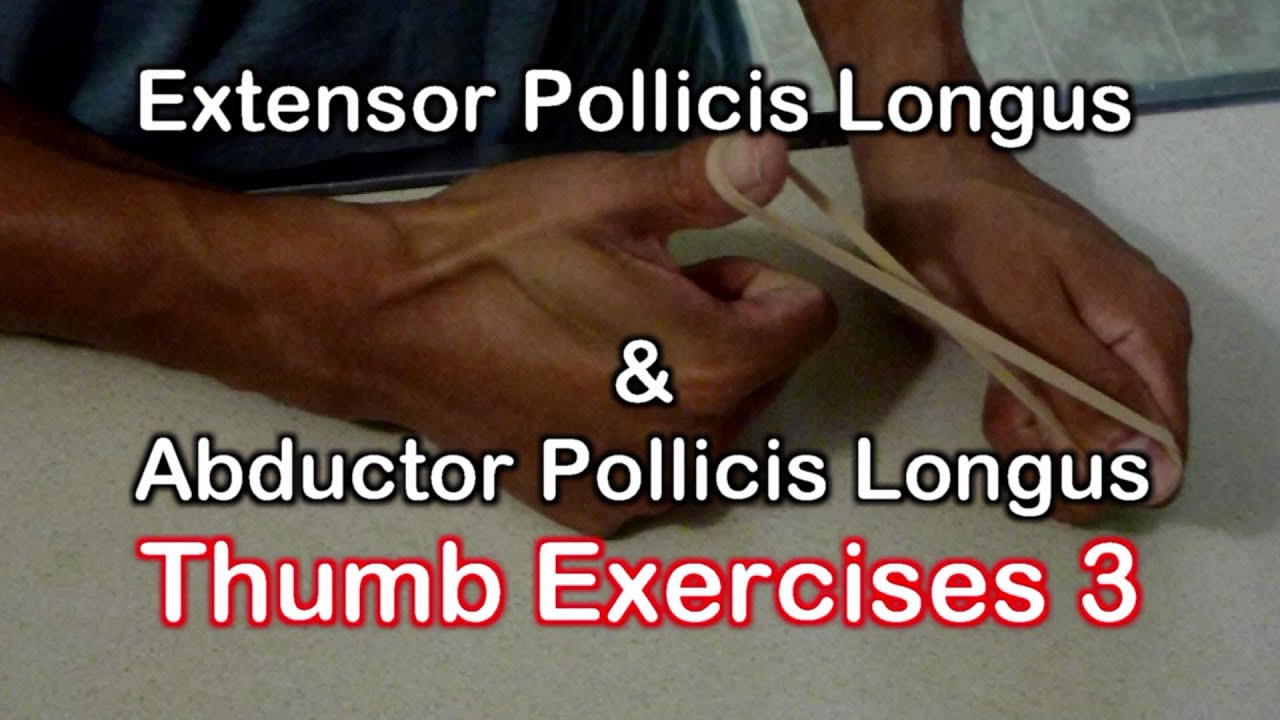 Thumb Exercises Extensor Pollicis Longus & Abductor Pollicis Longus