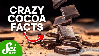 The Science of Chocolate