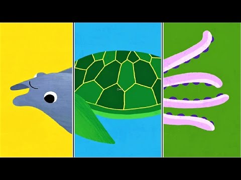 Play "Animal Match Up" ! Baby Learn About Sea Animals Combined Real Animals | Fun Baby Games