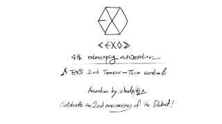 EXO animation