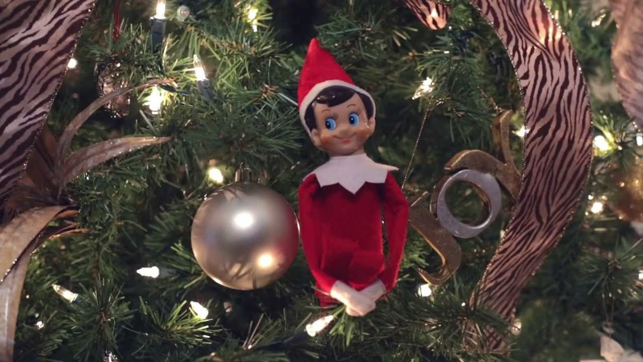 Real Life Elf on the Shelf YouTube