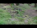 PhantomX terrain walking