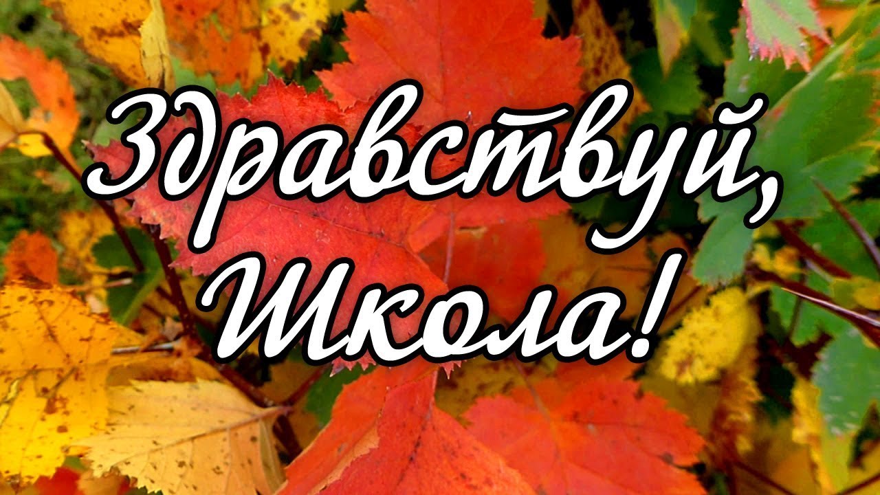 Поделки из камня в огород Поделки из камня в огород