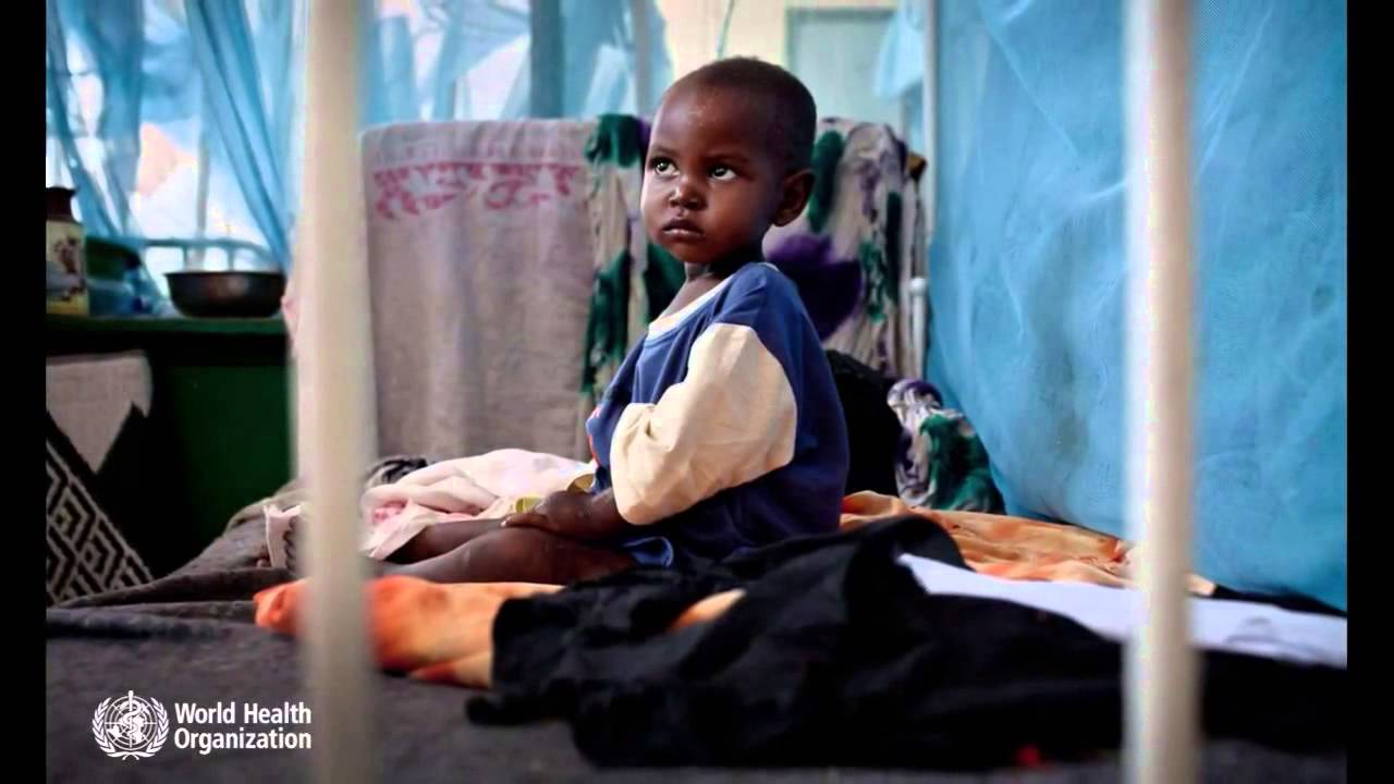 Siil+Somali Download image Somali Wasmo PC, Android, iPhone and iPad. Wallpapers ...