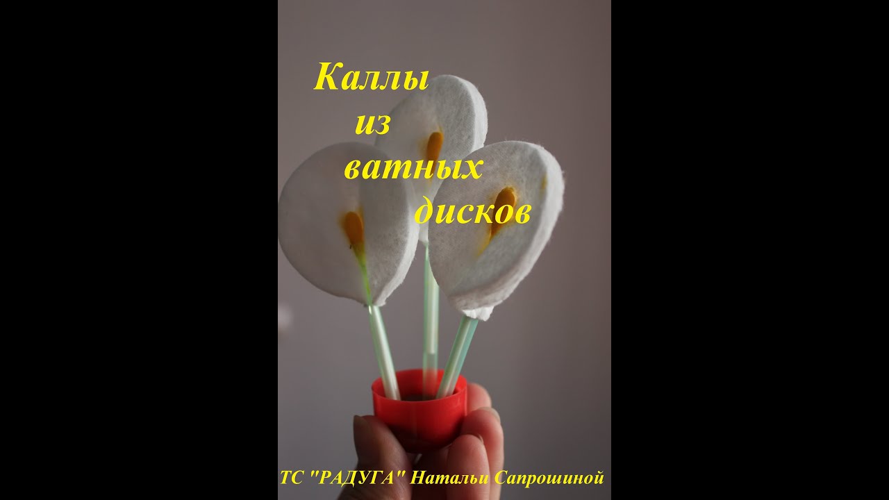 Поделки из ватных дисков своими руками цветы Поделки из ватных дисков своими руками цветы