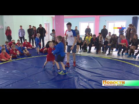 Самбисты Искитимского района приняли участие в отборочном турнире