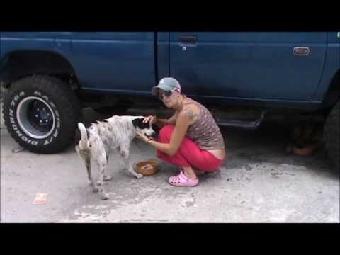 Hình ảnh trong video HalfwayHouse Tender Loving Care For Homeless