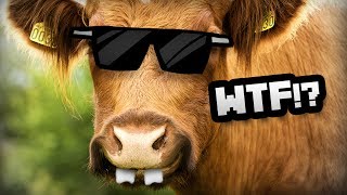 NÃO MATE A VACA! - Don't Kill the Cow