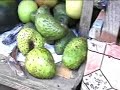 Zanzibar Market