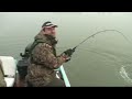 SMALL ROD VS 220 POUNDS CATFISH - HD by YURI GRISENDI
