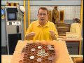 C'est pas sorcier -Le déclin des Abeilles