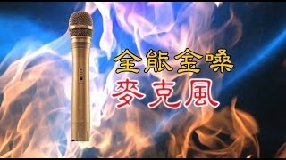 全能金嗓麥克風／2014全球閩南語歌曲創作演唱大賽 │【這群人】演出