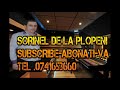 CHEF DE CHEF 2014 ALBUM COLAJ SORINEL DE LA PLOPENI MANELE ETNO PETRECERE