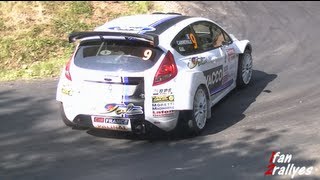 Rallye du Rouergue 2013 - Shakedown [HD]