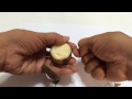 DIY - Fishing Tips- How to Hook Bananas for River Catfishing(33) Móc Chuối Câu Cá Tra