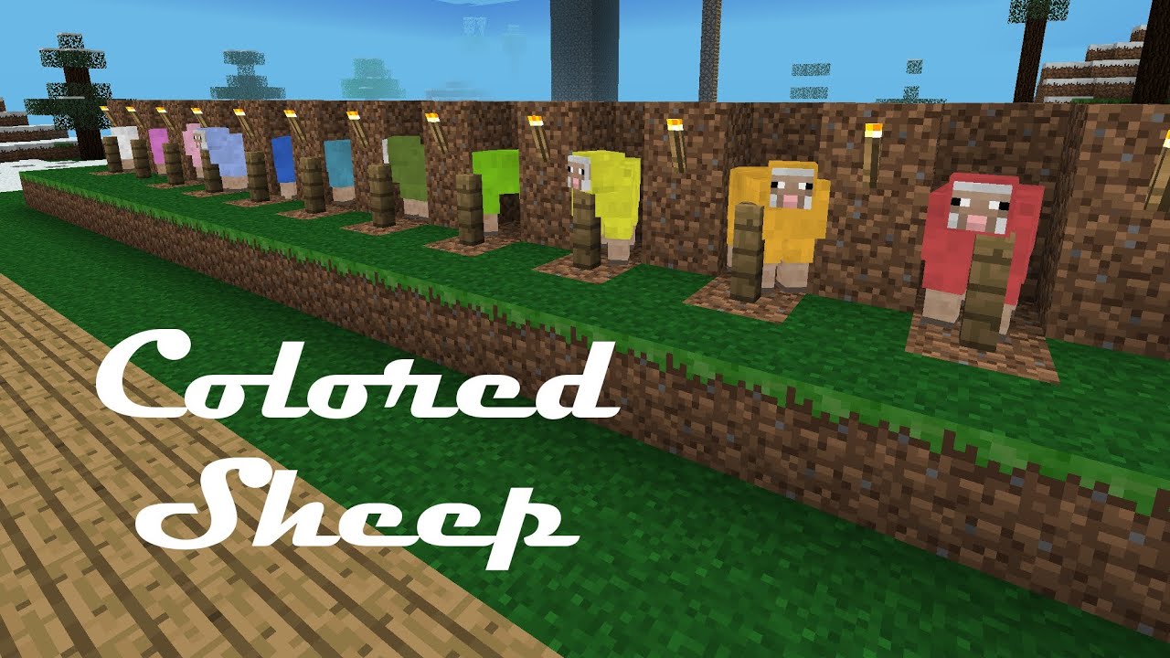 How To Color Sheep In Minecraft
