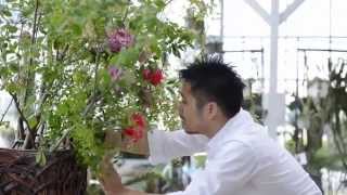 Beginers-Tanabata Night-