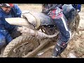 Ferrovia Lages - Trilha de moto