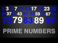 Prime Numbers Rap Typography (Math)