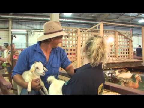 Petting Zoo @ The Sydney Royal Easter Show