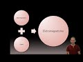 Introdução a Física Quântica