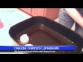 Sunday Morning Italian Meatballs with Claudia Colenzo Lamascolo