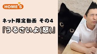 【Web限定】ホームズCM しゃべるねこ・しおちゃんがお部屋探しを始めるようです。