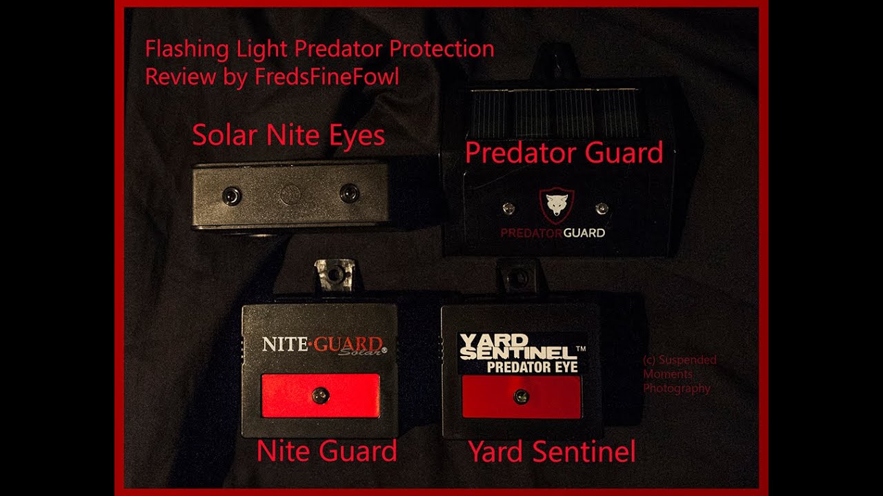 Solar Predator Protection, Nite Guard, Predator Guard, Solar Nite Eyes