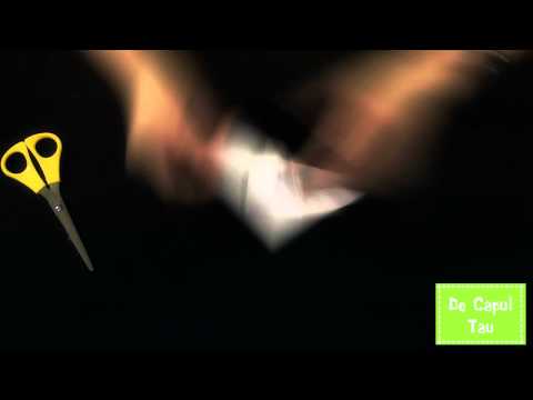 Cum se face un iepure din hartie (origami)
