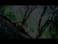 Betrayal (Anime Inspired Test Fight)