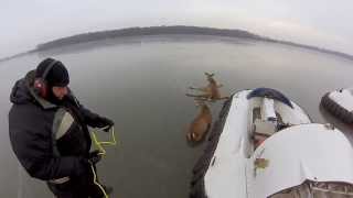 GoPro: Hovercraft Deer Rescue