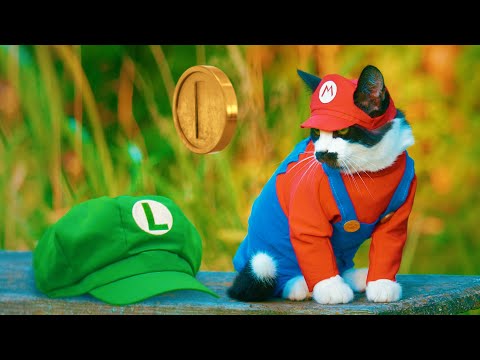 Super Mario Cat Bros.